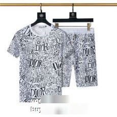 DIORスーパーコピー 落ち着いた質感 2022秋冬 ディオール DIOR 半袖Tシャツ セットアップ上下 2色可選