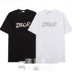 著名人の着用 2022秋冬 ディオール DIOR ディオールコピー 半袖Tシャツ 2色可選